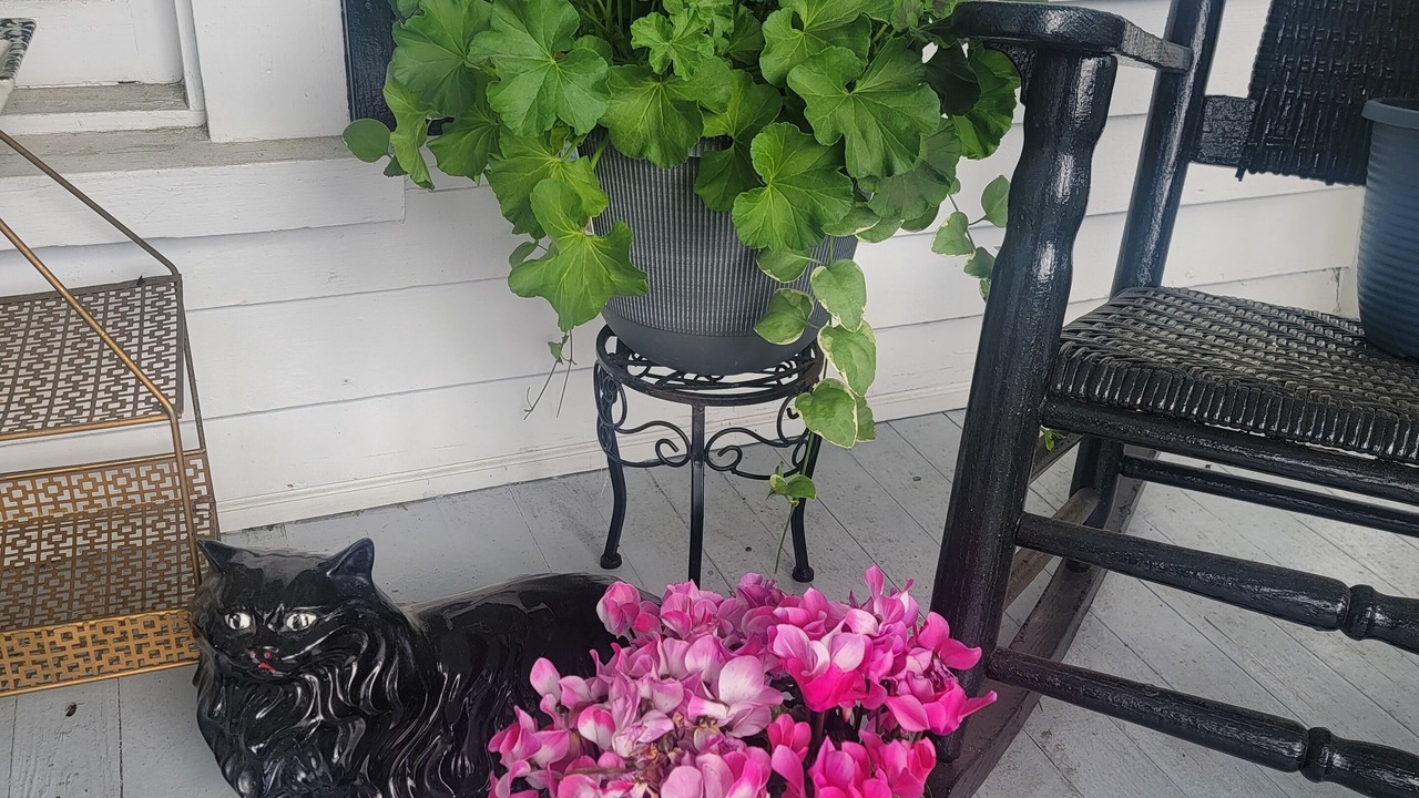 Photo of Outdoor in Ramseur