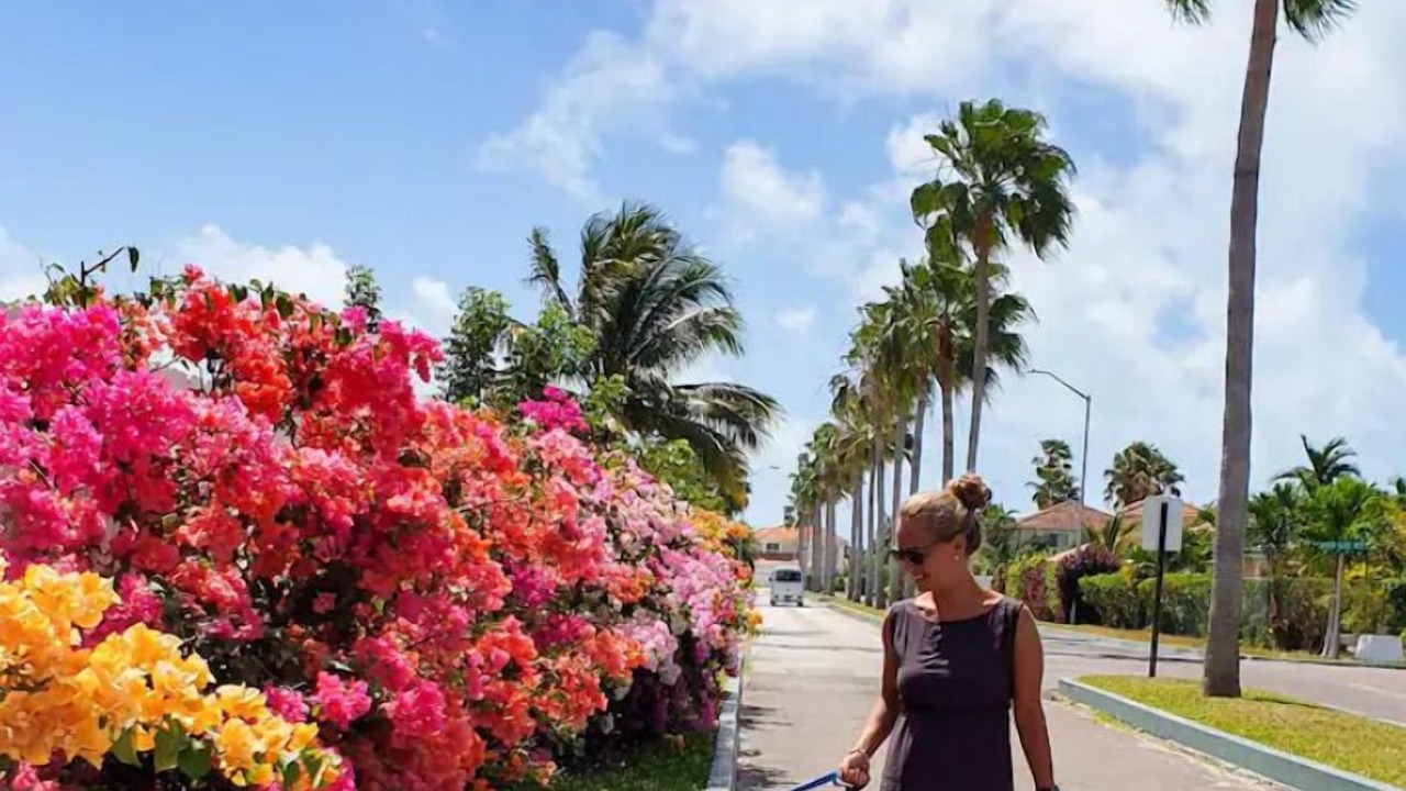 Photo of Others in Nassau