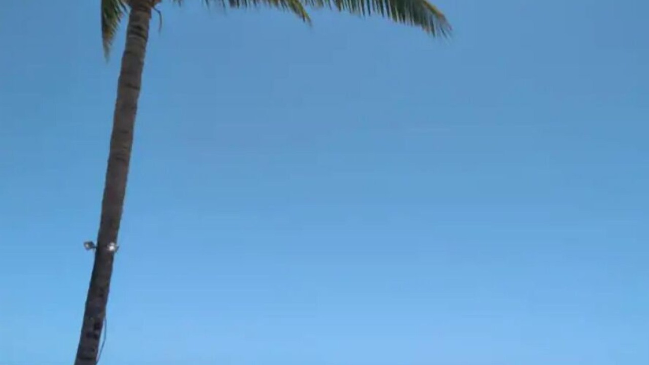 Photo of Others in Nassau
