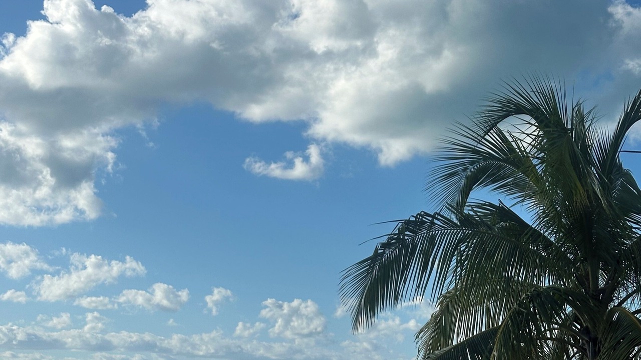 Photo of Others in Nassau