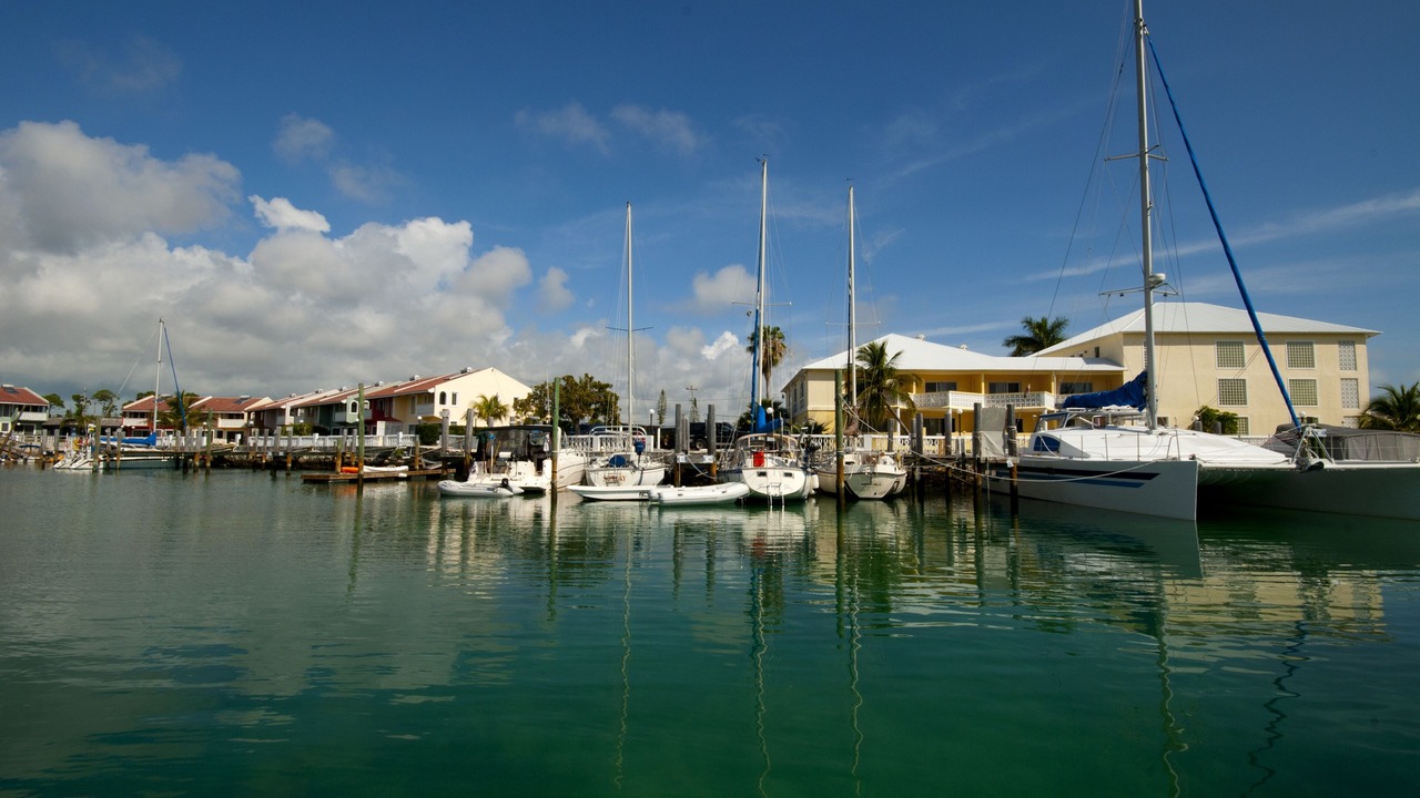 Photo of Outdoor in Bahama Reef