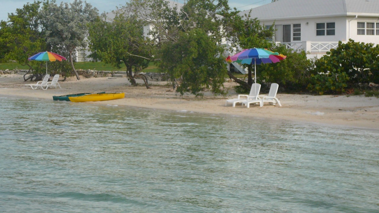 Photo of Others in George Town