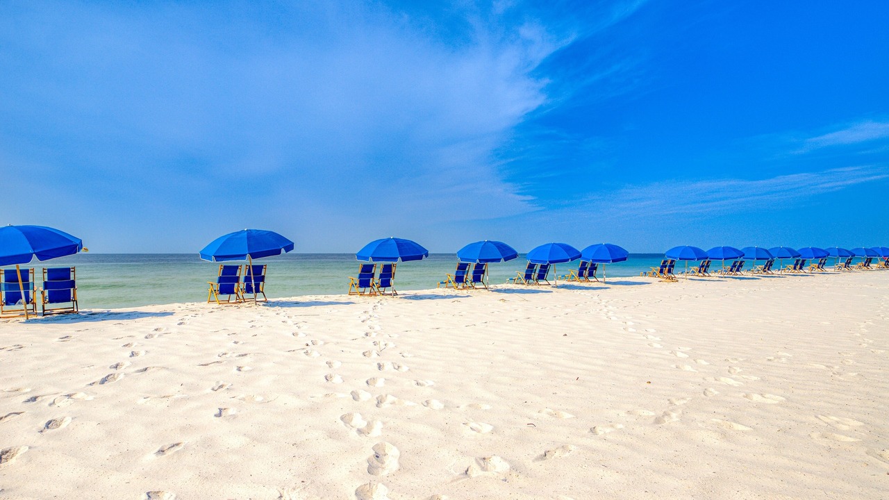Photo of Others in Orange Beach East