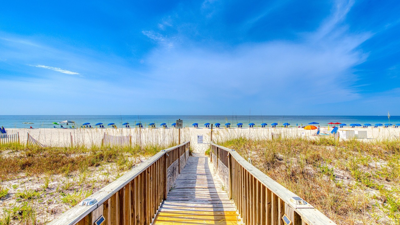 Photo of Others in Orange Beach East