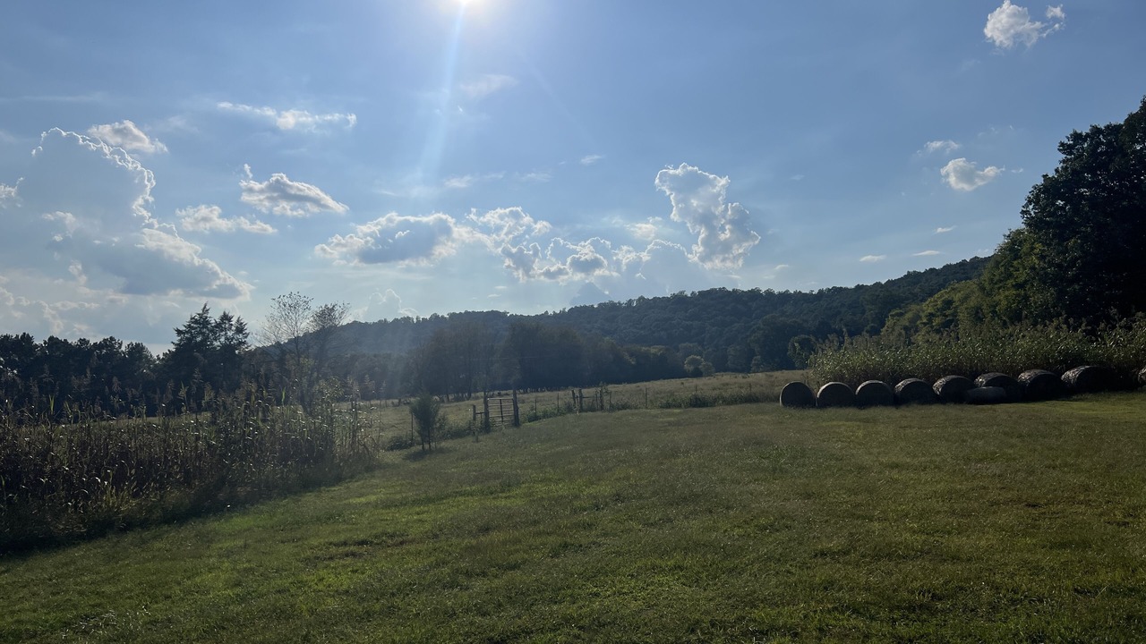 Photo of Outdoor in Joppa