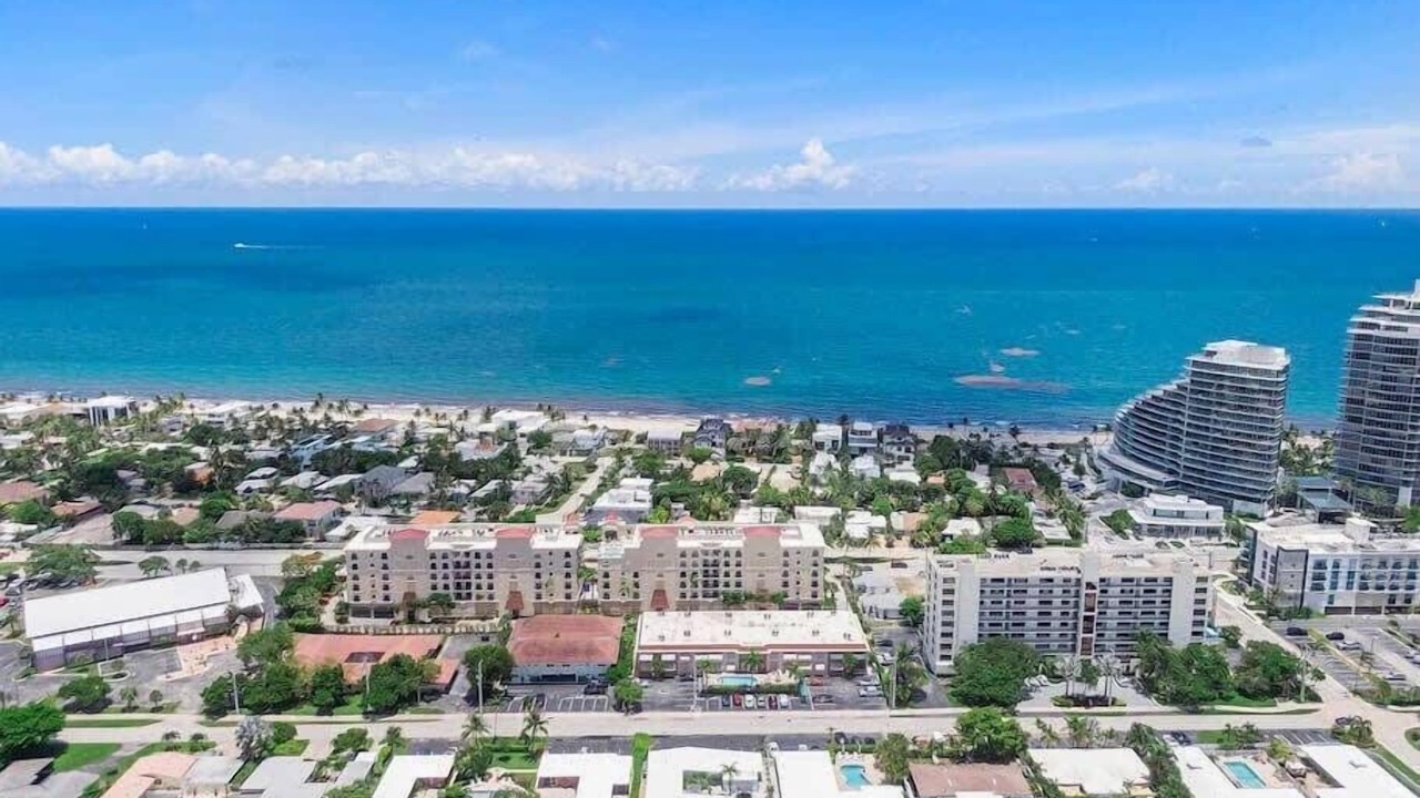 Photo of Others in Dolphin Isles