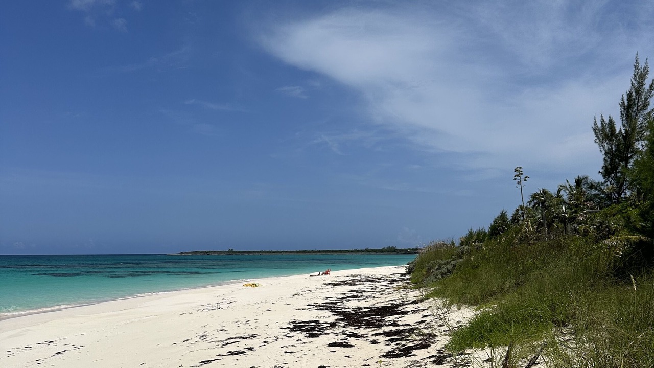 Photo of Others in Winding Bay
