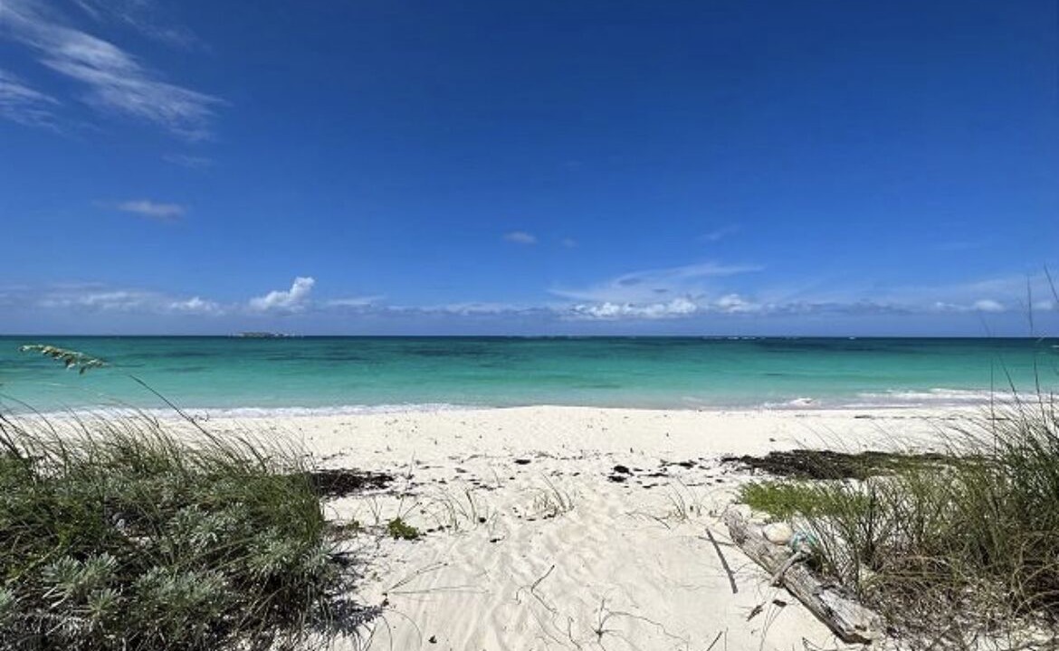 Photo of Others in Winding Bay