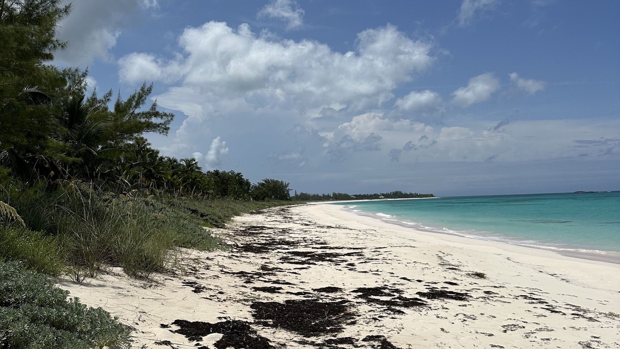 Photo of Others in Winding Bay
