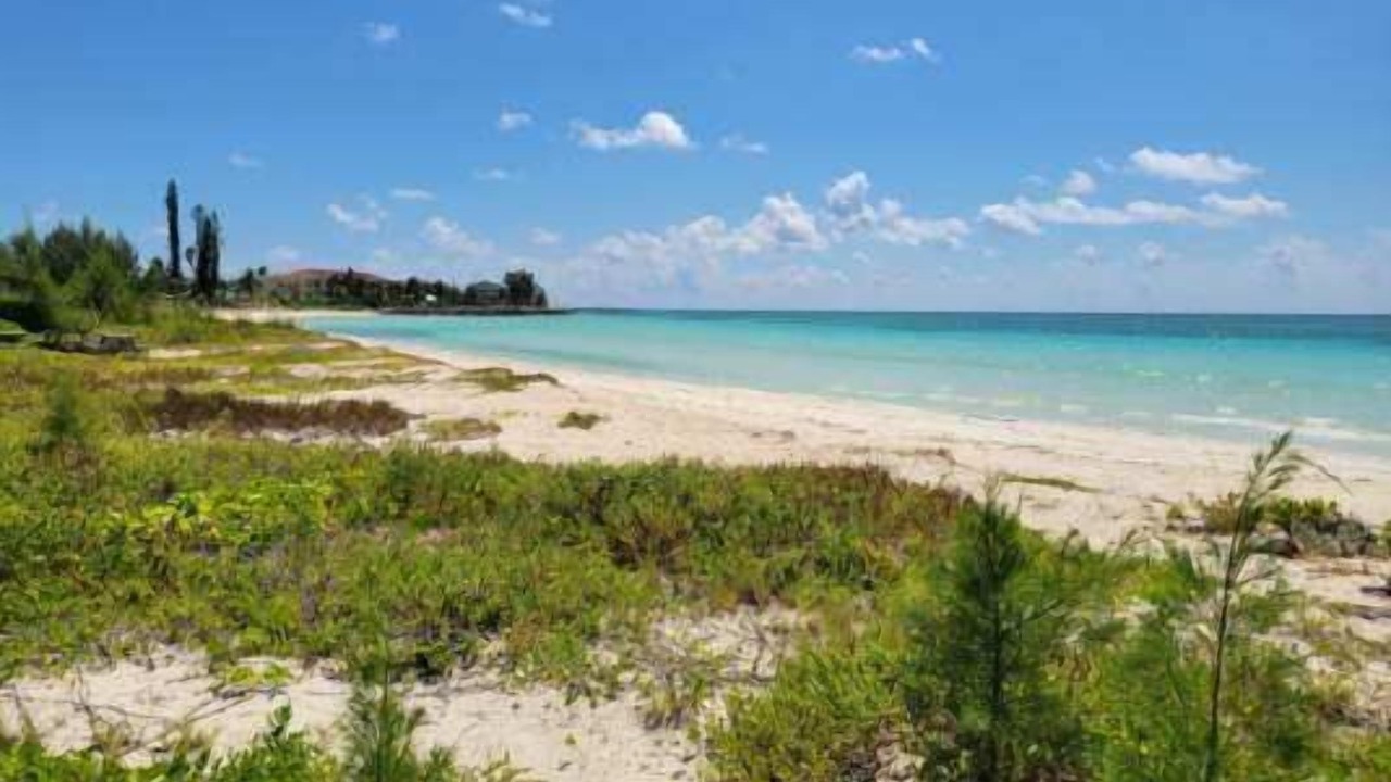 Photo of Others in Bahamas Terrace