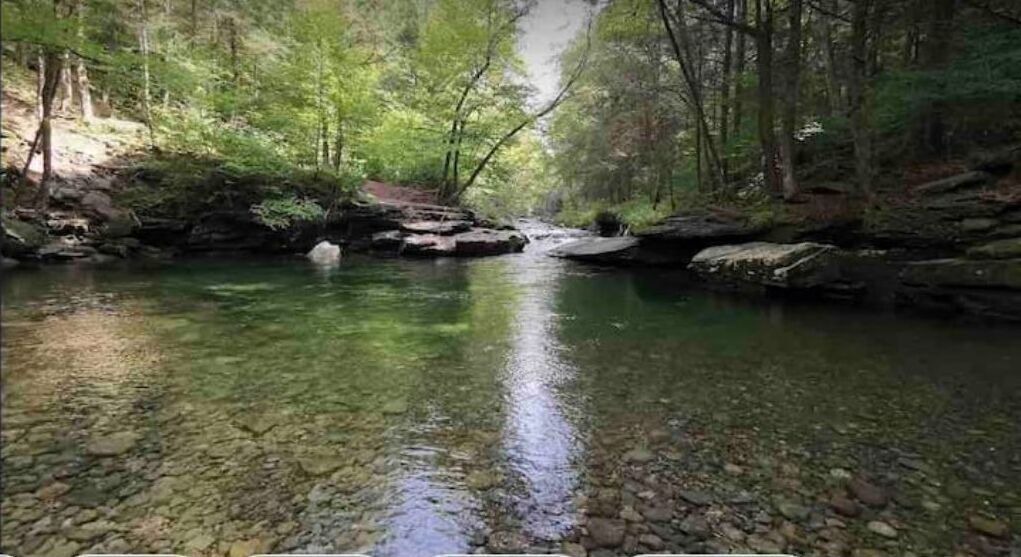 Photo of Outdoor in Wurtsboro