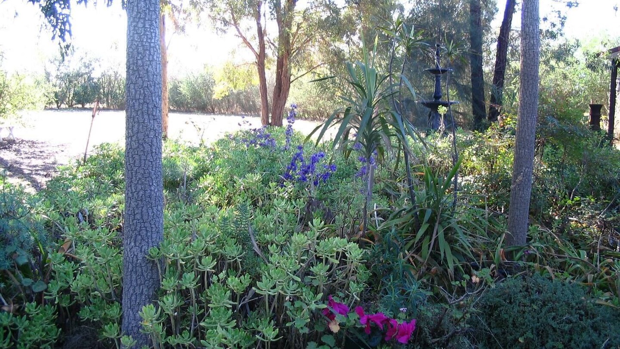 Photo of Outdoor in Bearii