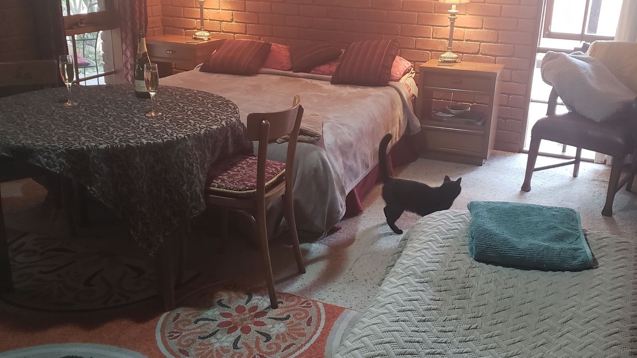 Photo of Bedroom in Bearii