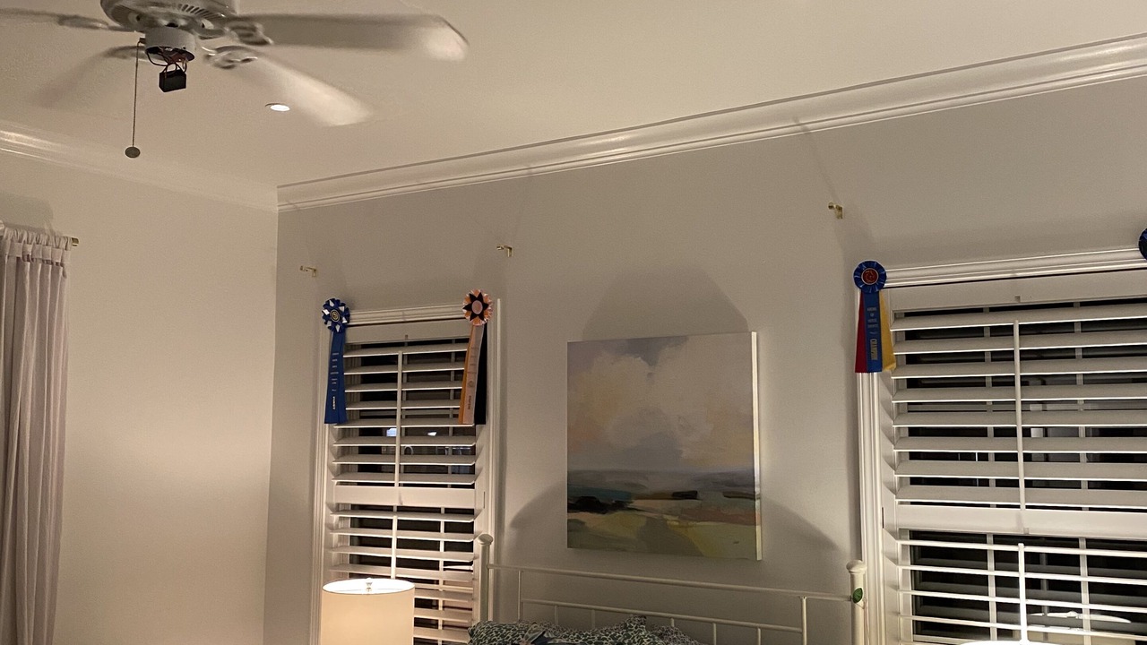Photo of Bedroom in Montrose