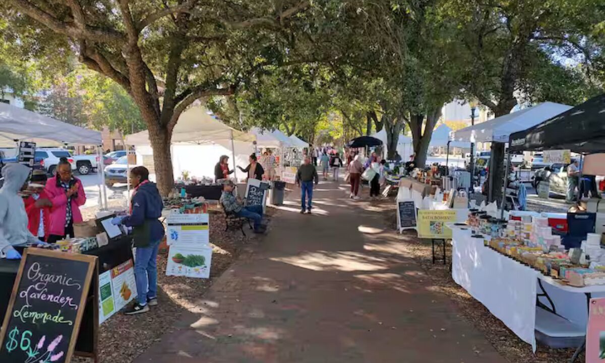 Photo of Others in Downtown