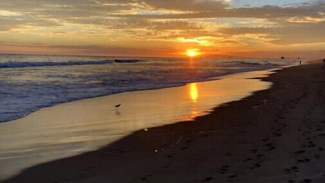 Photo of Others in Huntington Beach