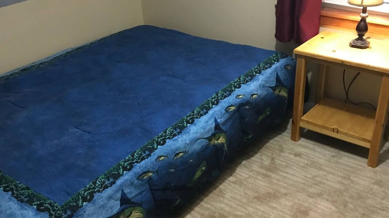 Photo of Bedroom in Dansville
