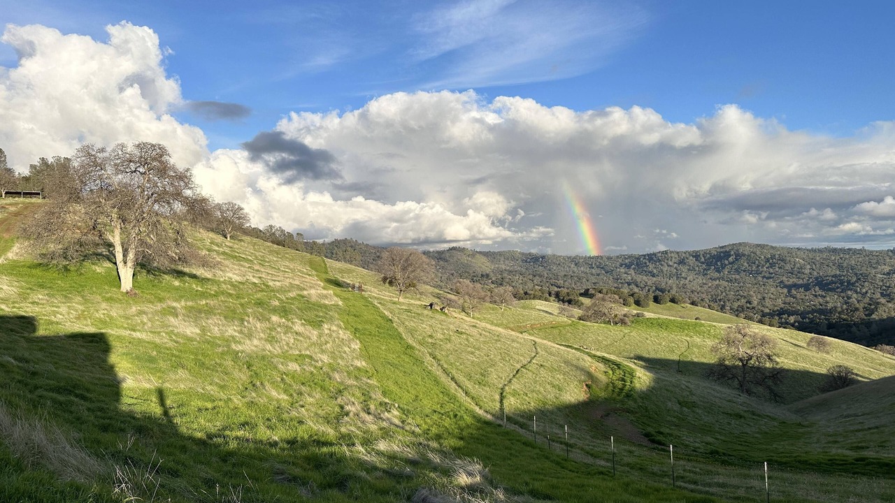 Photo of Outdoor in Mariposa
