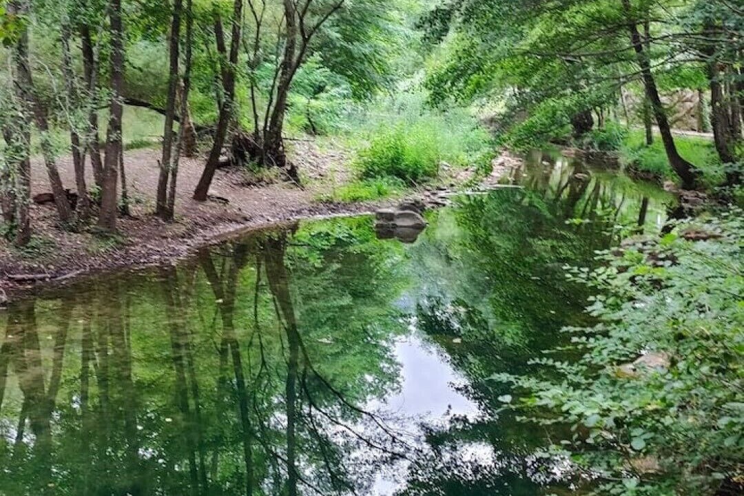 Photo of Outdoor in Albanya
