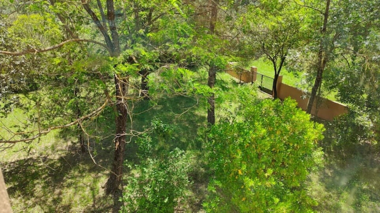 Photo of Outdoor in Albanya