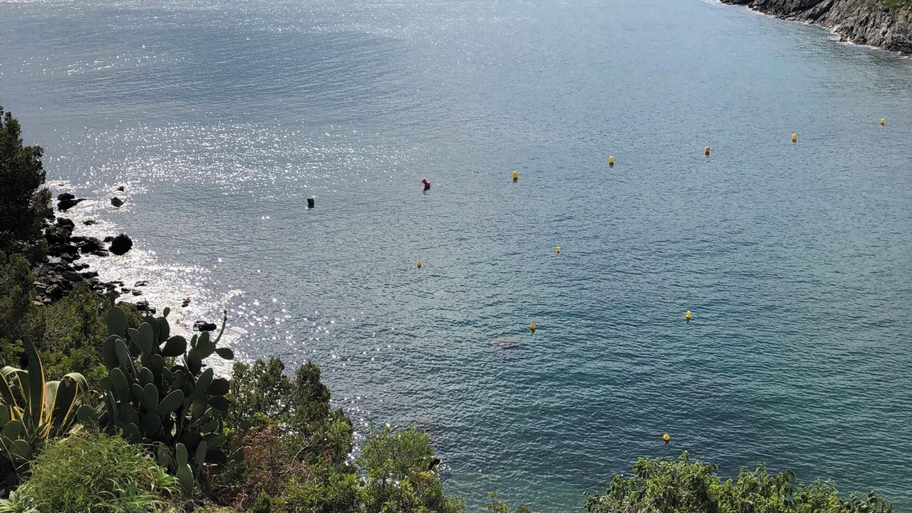 Photo of Others in Llanca