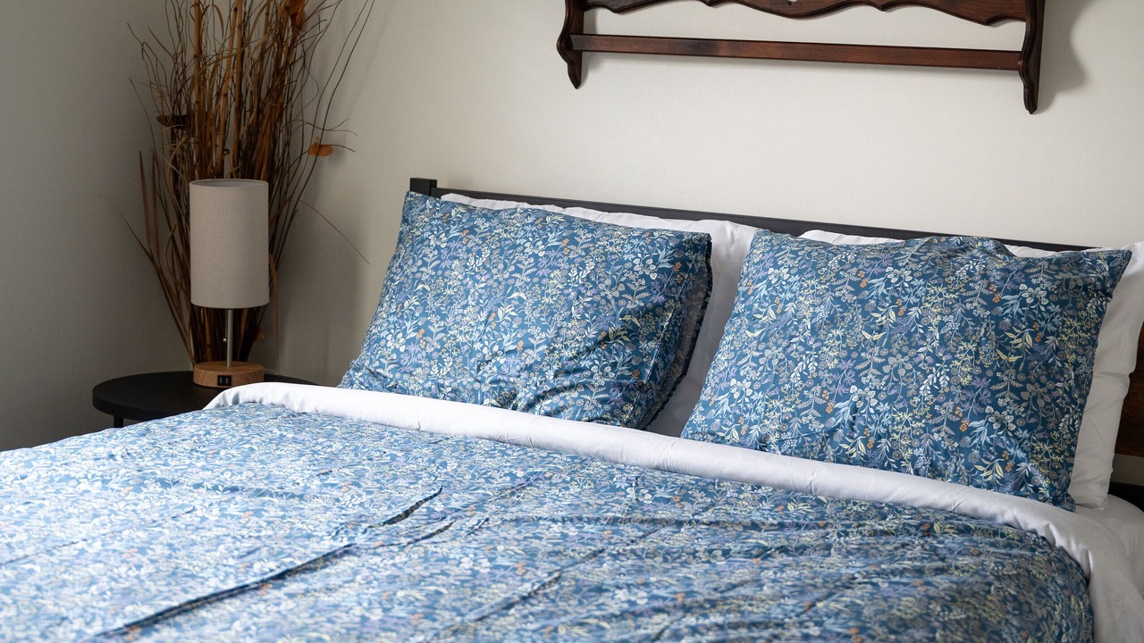 Photo of Bedroom in Apex