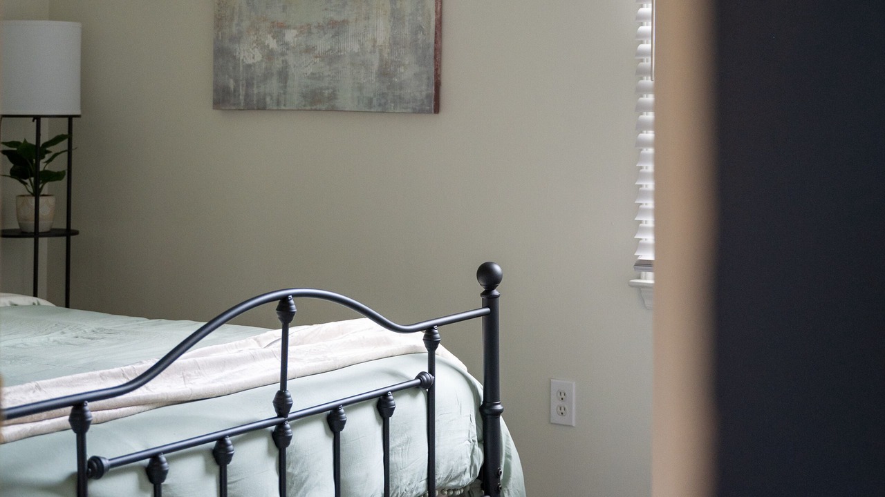 Photo of Bedroom in Apex