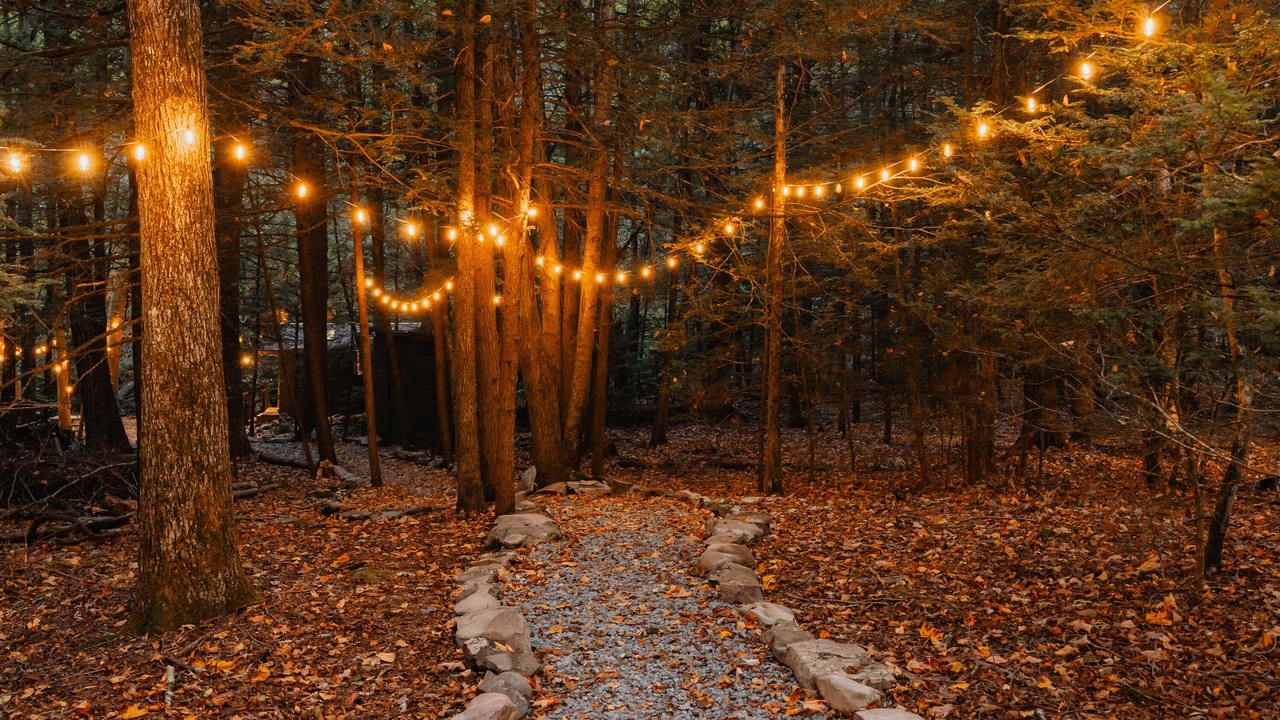 Photo of Others in Cuddebackville
