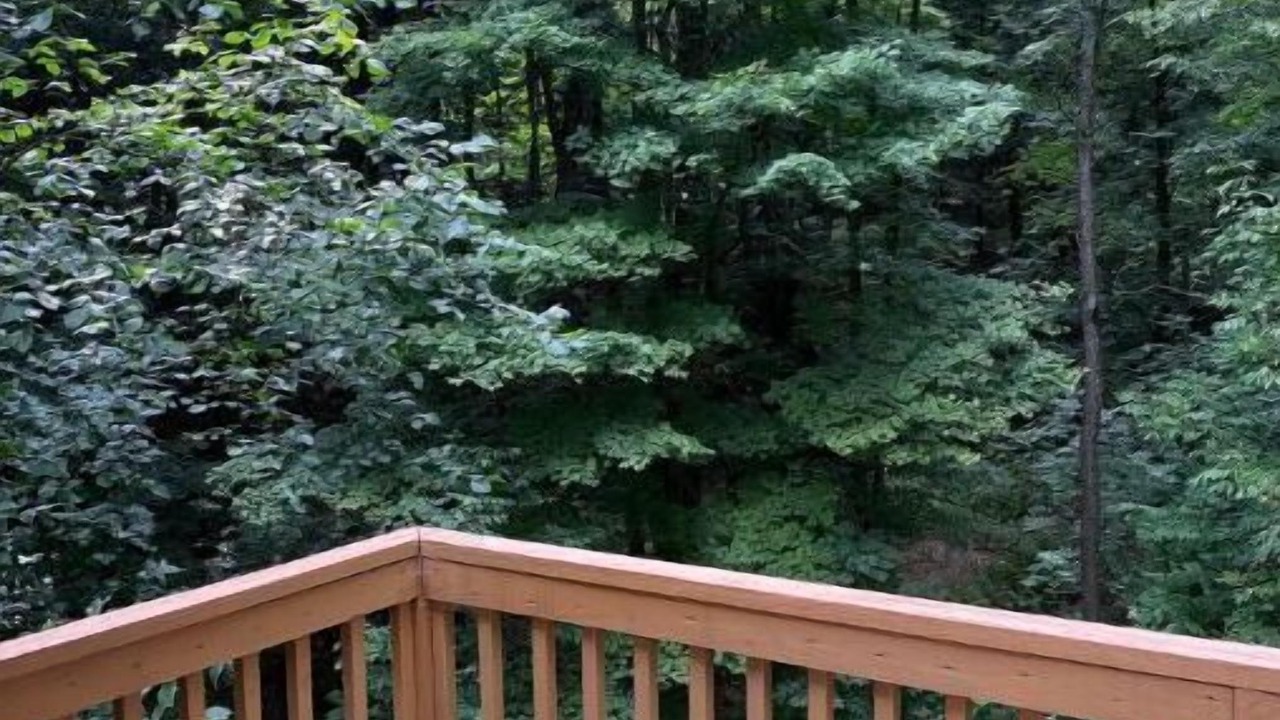 Photo of Outdoor in Jamestown