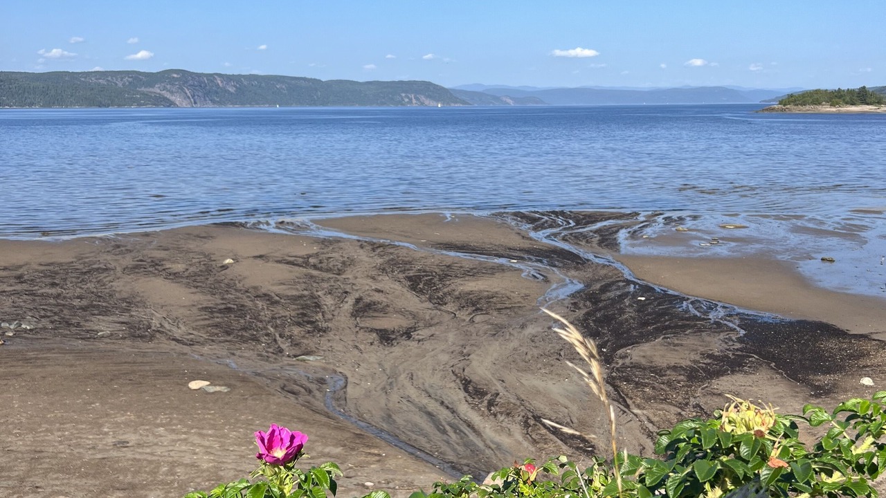 Photo of Others in La Baie
