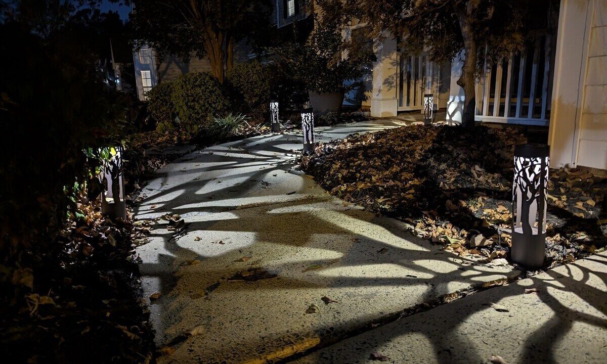 Photo of Outdoor in Concord