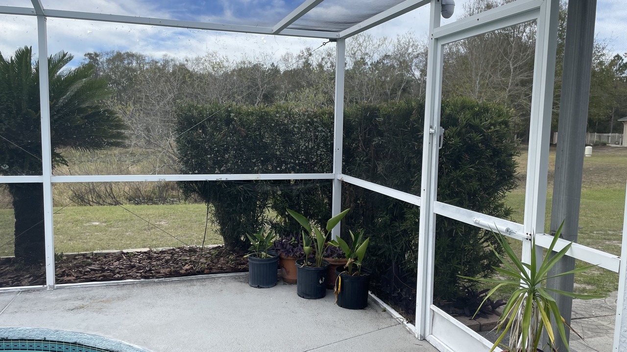 Photo of Outdoor in Lutz
