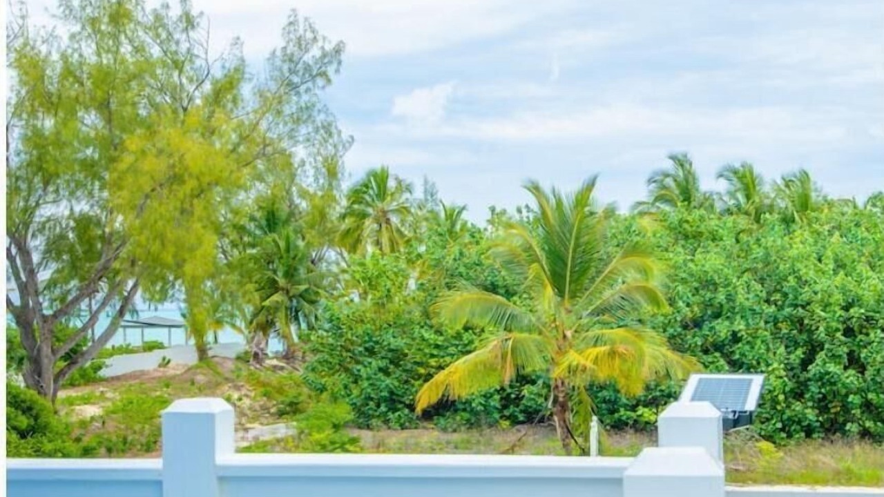 Photo of Outdoor in Jimmy Hill