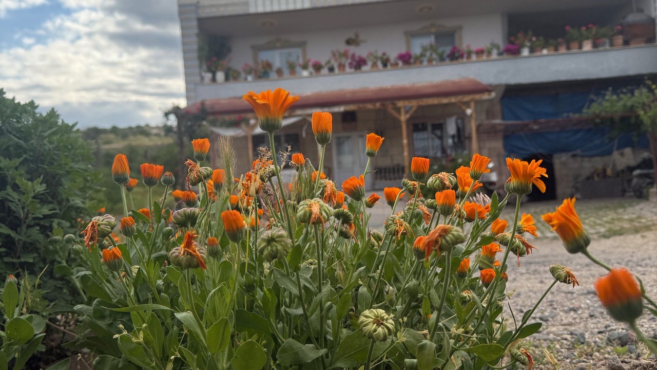 Photo of Outdoor in Ibrahimpasa