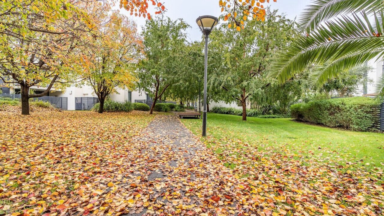Photo of Outdoor in Kingston