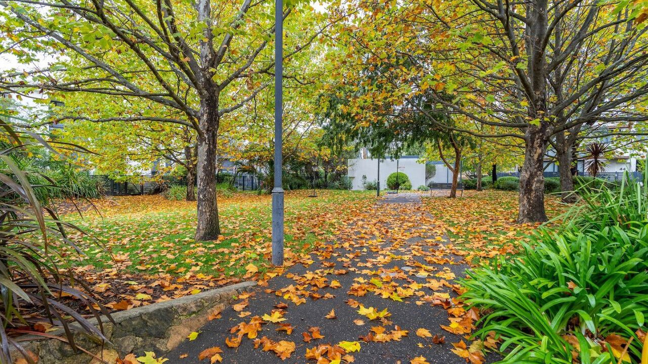 Photo of Outdoor in Kingston