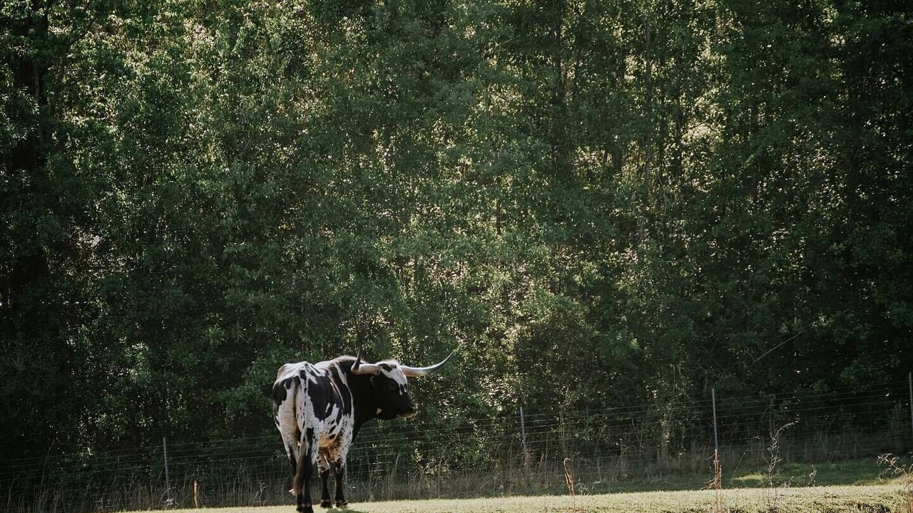 Photo of Others in Poplarville
