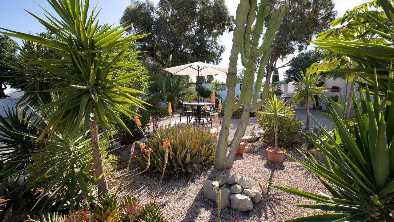 Photo of Outdoor in Mutxamel