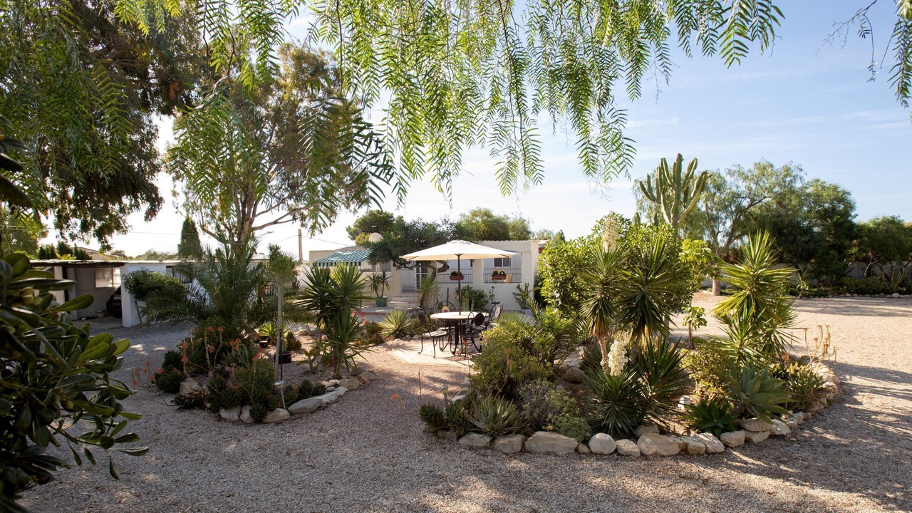 Photo of Outdoor in Mutxamel