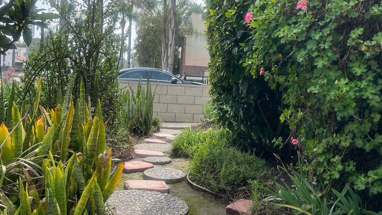 Photo of Outdoor in Santa Ana