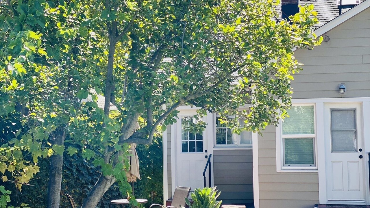 Photo of Outdoor in East Sacramento