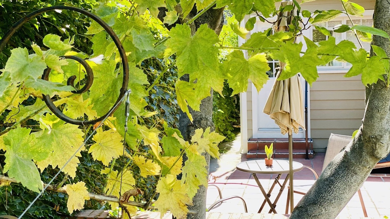 Photo of Outdoor in East Sacramento