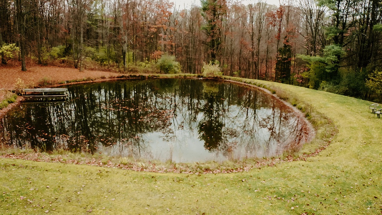 Photo of Others in Rock Stream