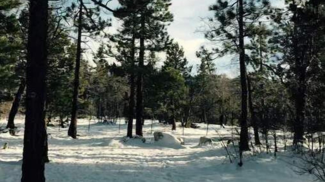 Photo of Others in Sugarloaf