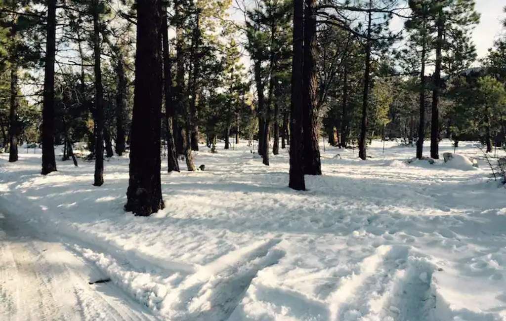 Photo of Others in Sugarloaf