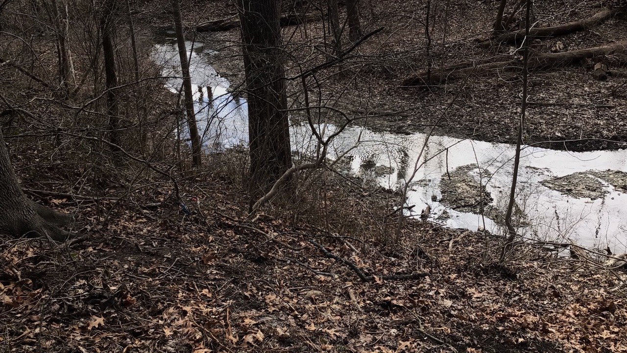 Photo of Outdoor in Pittsford