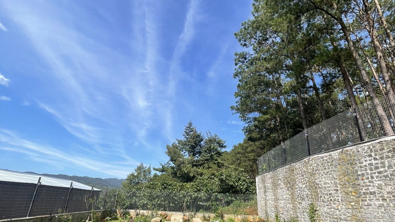 Photo of Outdoor in Bao Lam