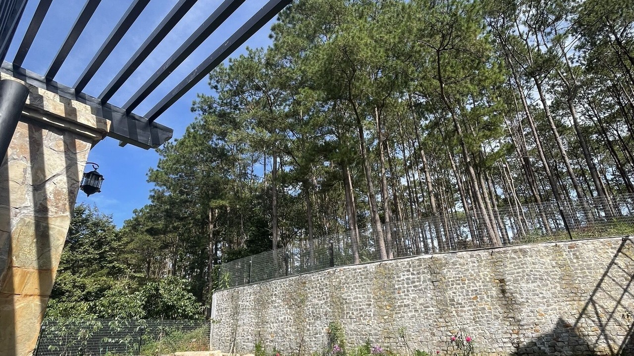 Photo of Outdoor in Bao Lam