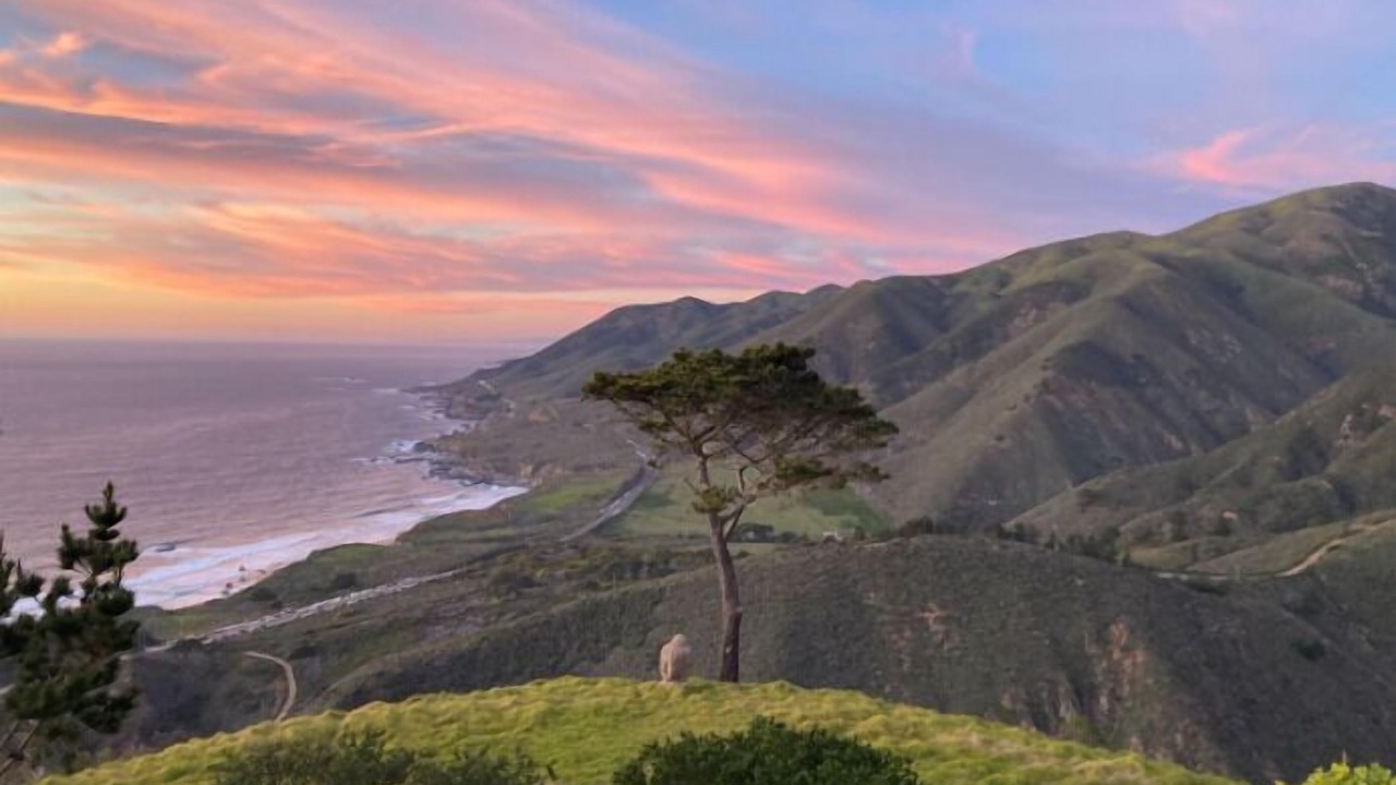 Photo of Others in Carmel