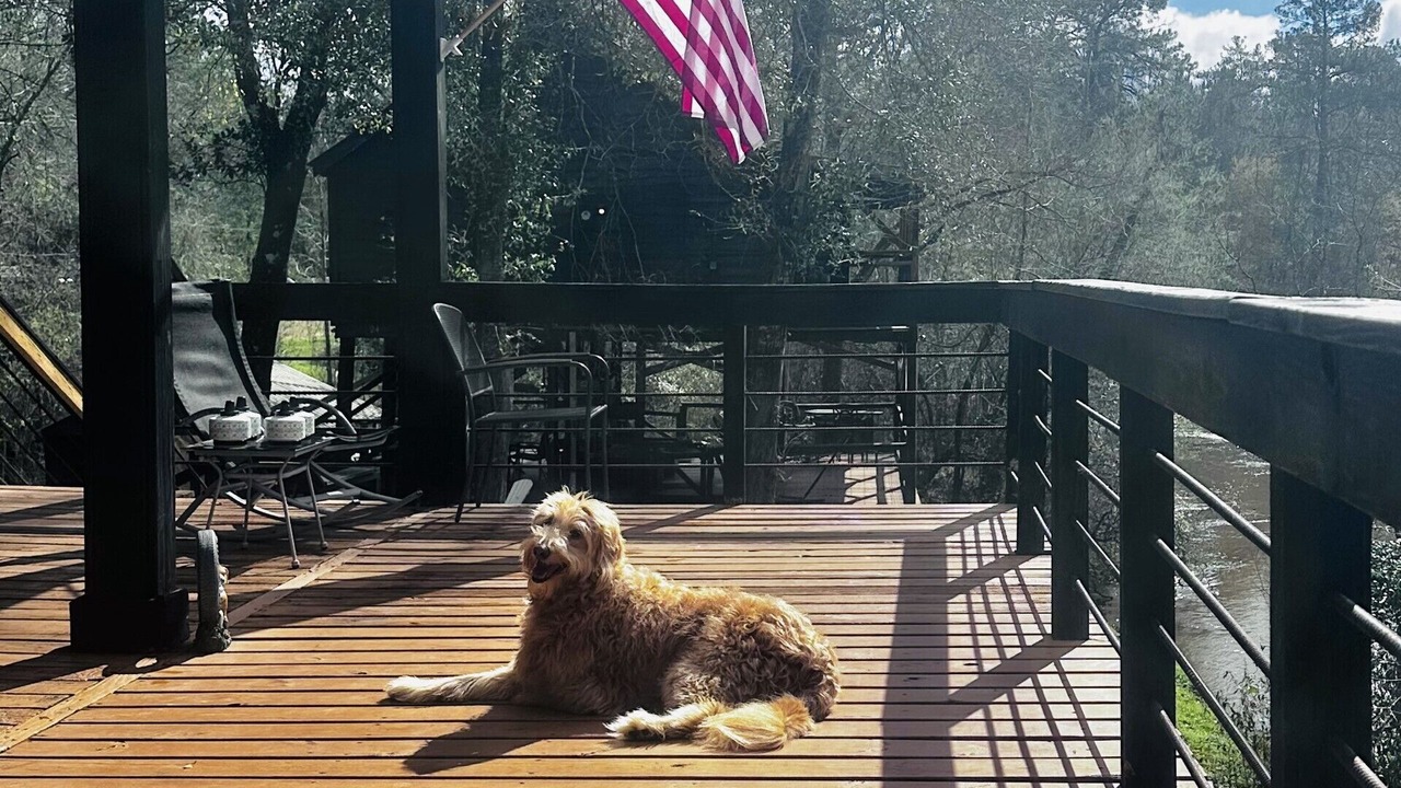 Photo of Patio Balcony in Hattiesburg